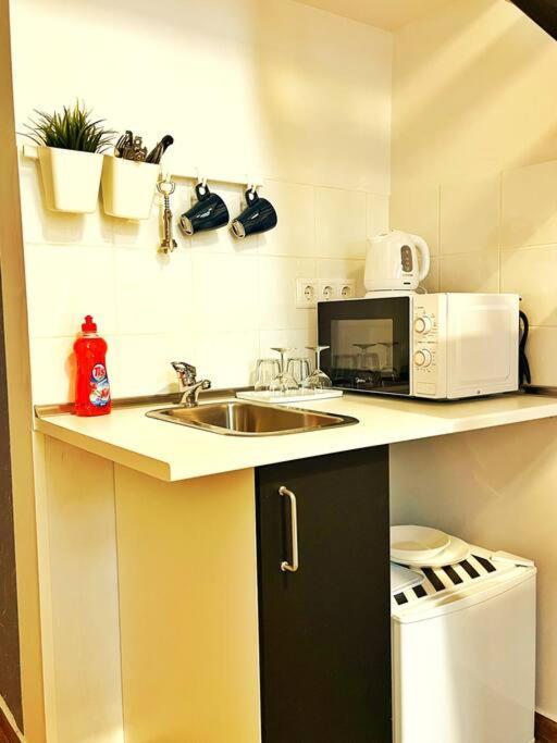 בודפשט Bp Central Stylish Flats מראה חיצוני תמונה